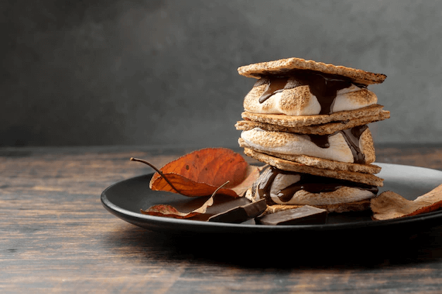 露營中不可缺少好吃的餅乾?雪花餅是什麼餅乾?What are the best treats to bring to camping? What is a smore?